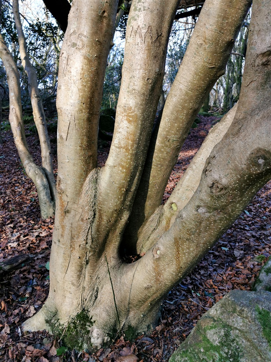 An Cuileann