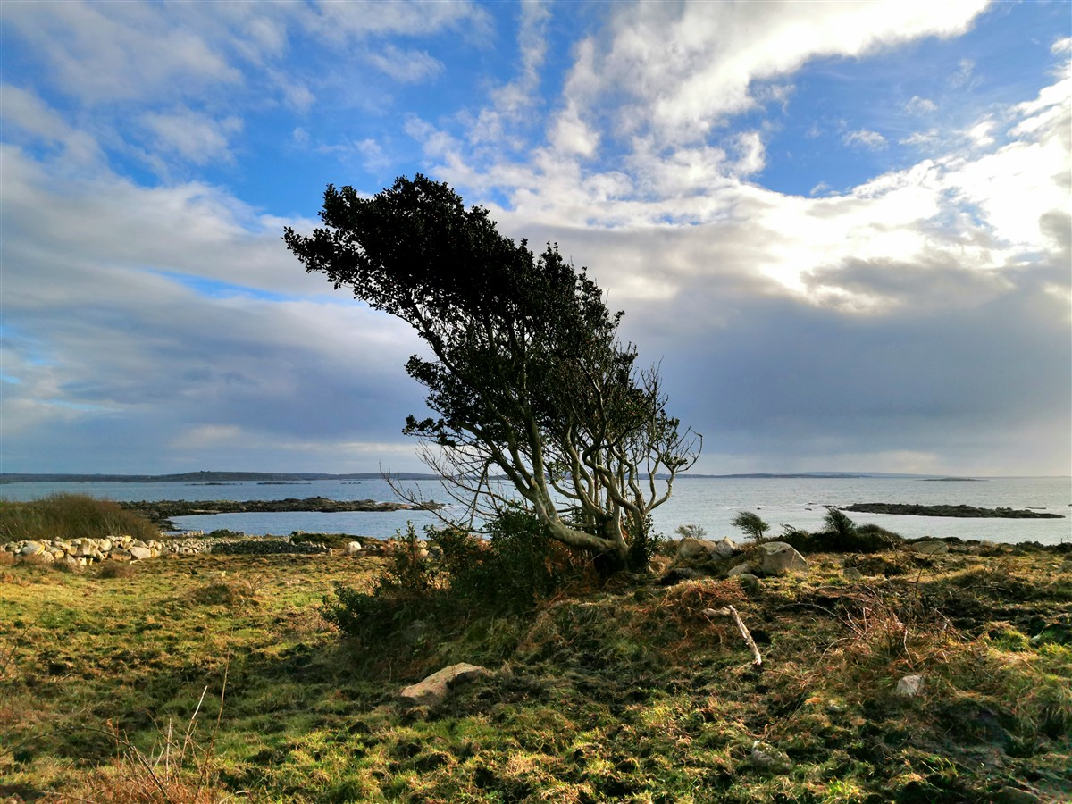 An Cuileann