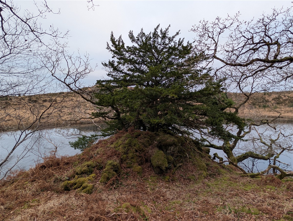 An tIúr