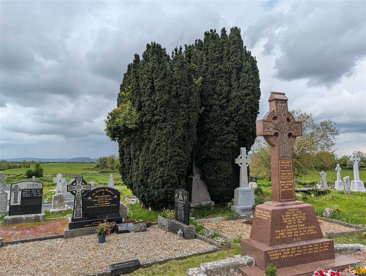 An tIúr