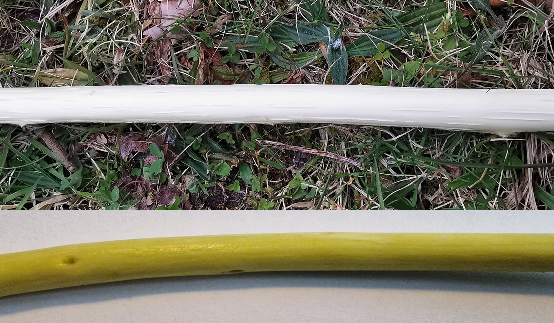 An tSailchearnach